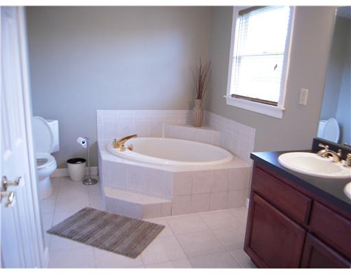 81 Valleyview Road Scenery Hill, PA 15360 - Photo 9 of 18 Master Bath/Spa.