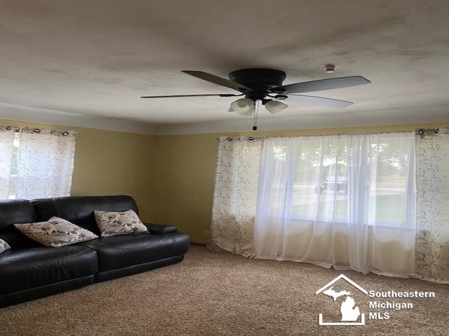 7845 Summerfield Road Petersburg, MI 49270 - Photo 5 of 25 Gallery Image 5