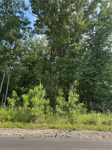 1 B Lower Rome Road Springfield, LA 70462 - Photo 15 of 18