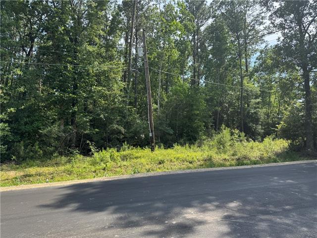 1 B Lower Rome Road Springfield, LA 70462 - Photo 2 of 18