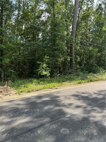 1 B Lower Rome Road Springfield, LA 70462 - Photo 9 of 18