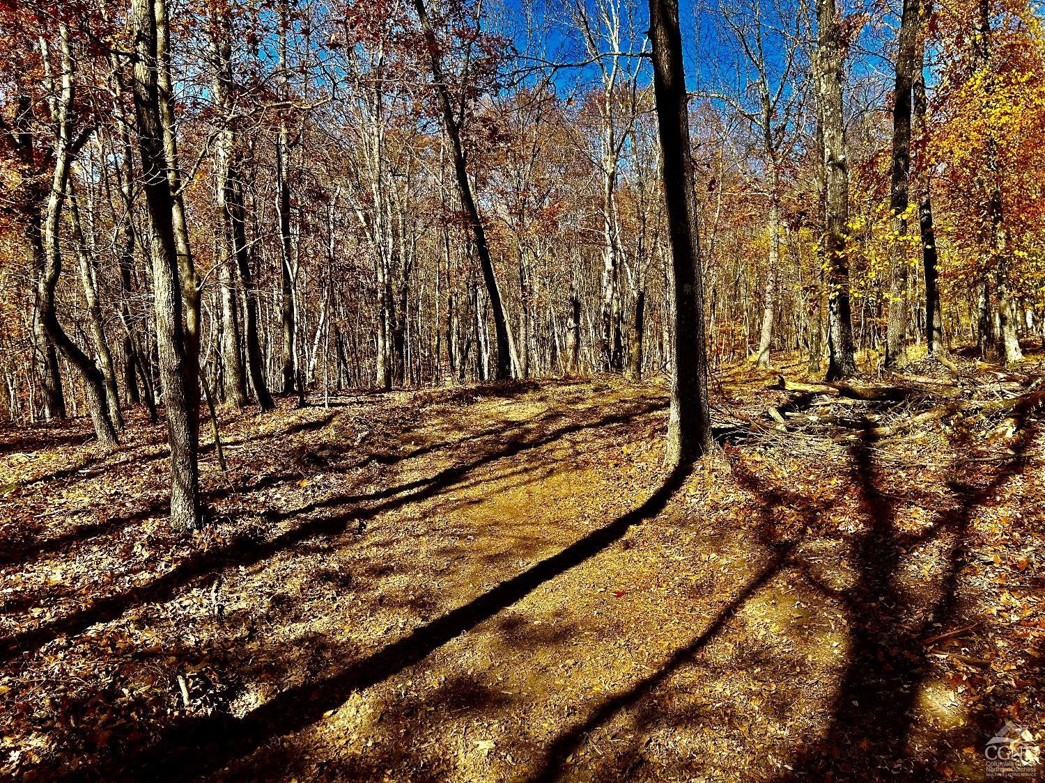 0 Westfall Road Ancram, NY 12502 - Photo 12 of 18 a view of a backyard of the house