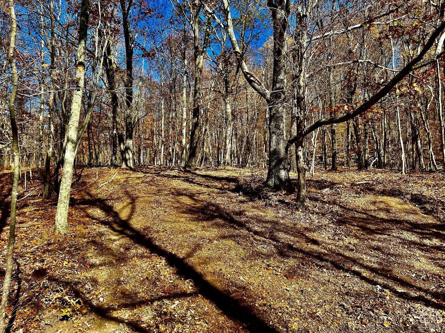 0 Westfall Road Ancram, NY 12502 - Photo 13 of 18 a view of outdoor space with trees