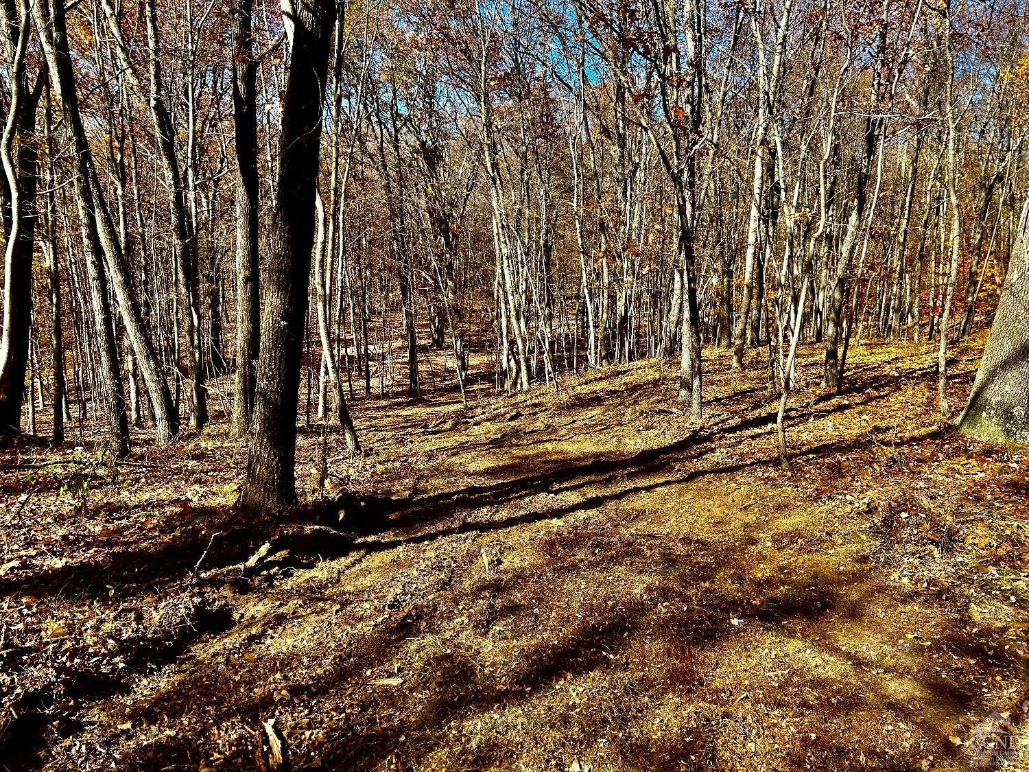 0 Westfall Road Ancram, NY 12502 - Photo 14 of 18 a view of a backyard of the house