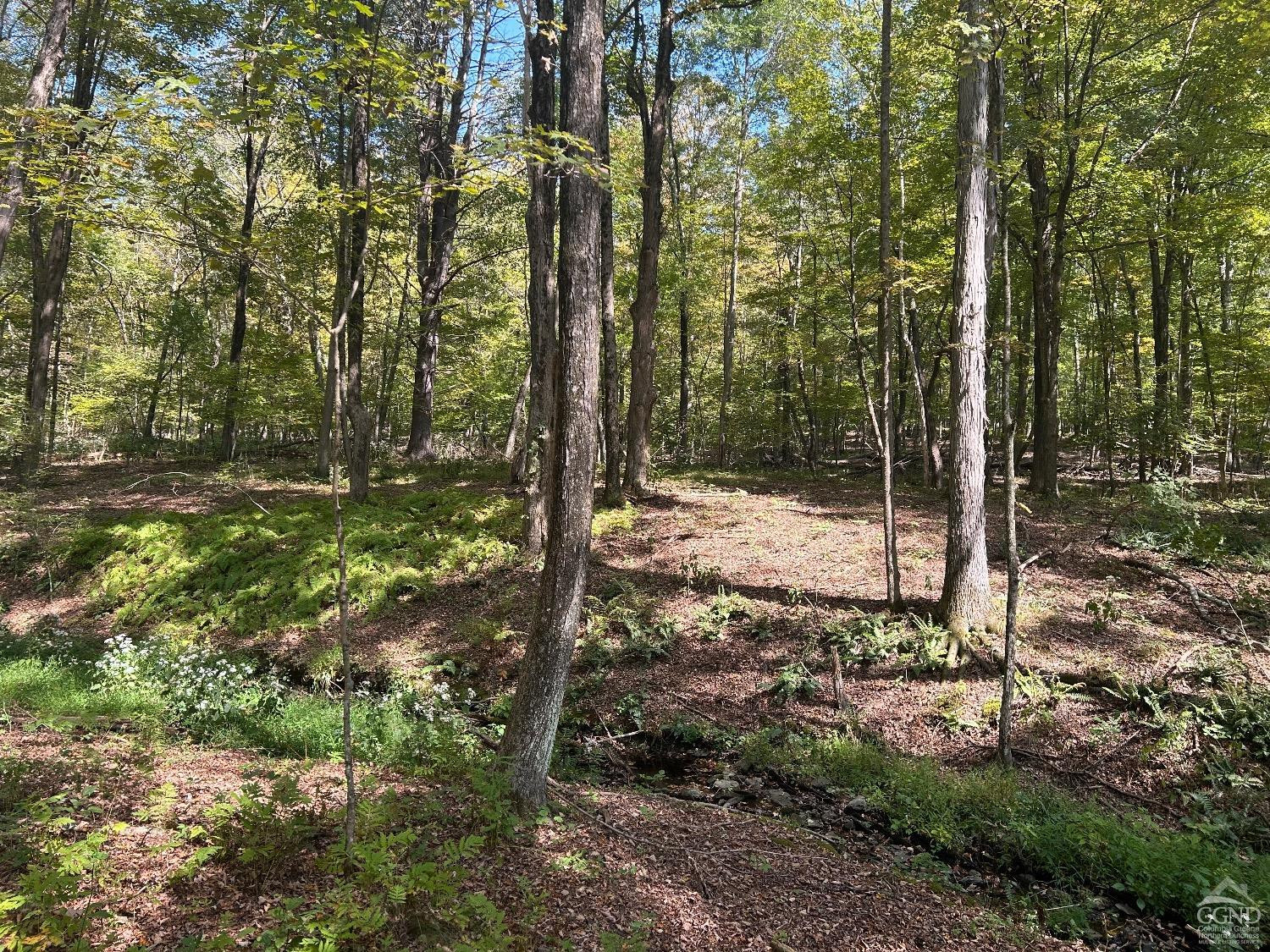0 Westfall Road Ancram, NY 12502 - Photo 4 of 18 a view of a forest