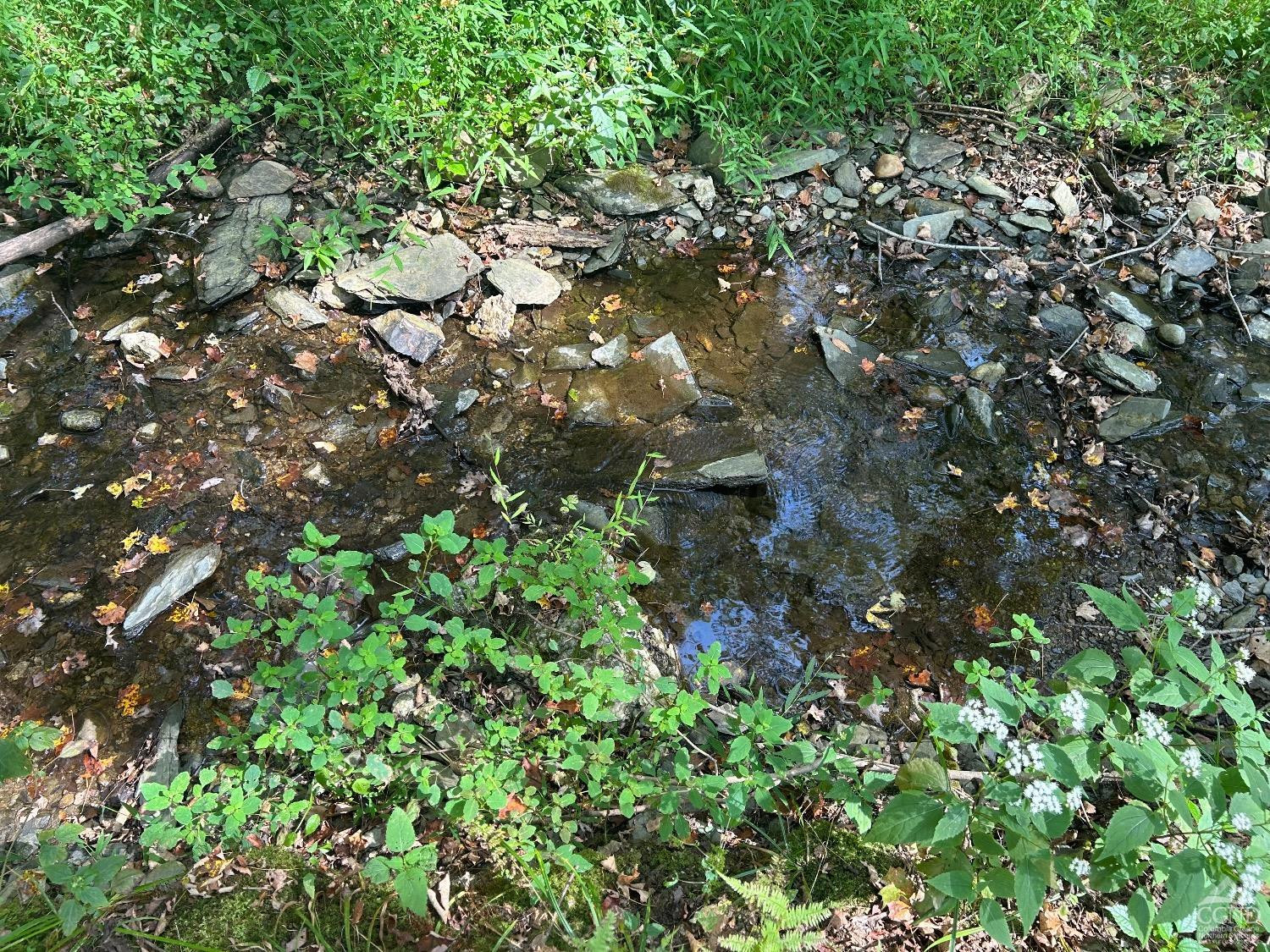 0 Westfall Road Ancram, NY 12502 - Photo 5 of 18