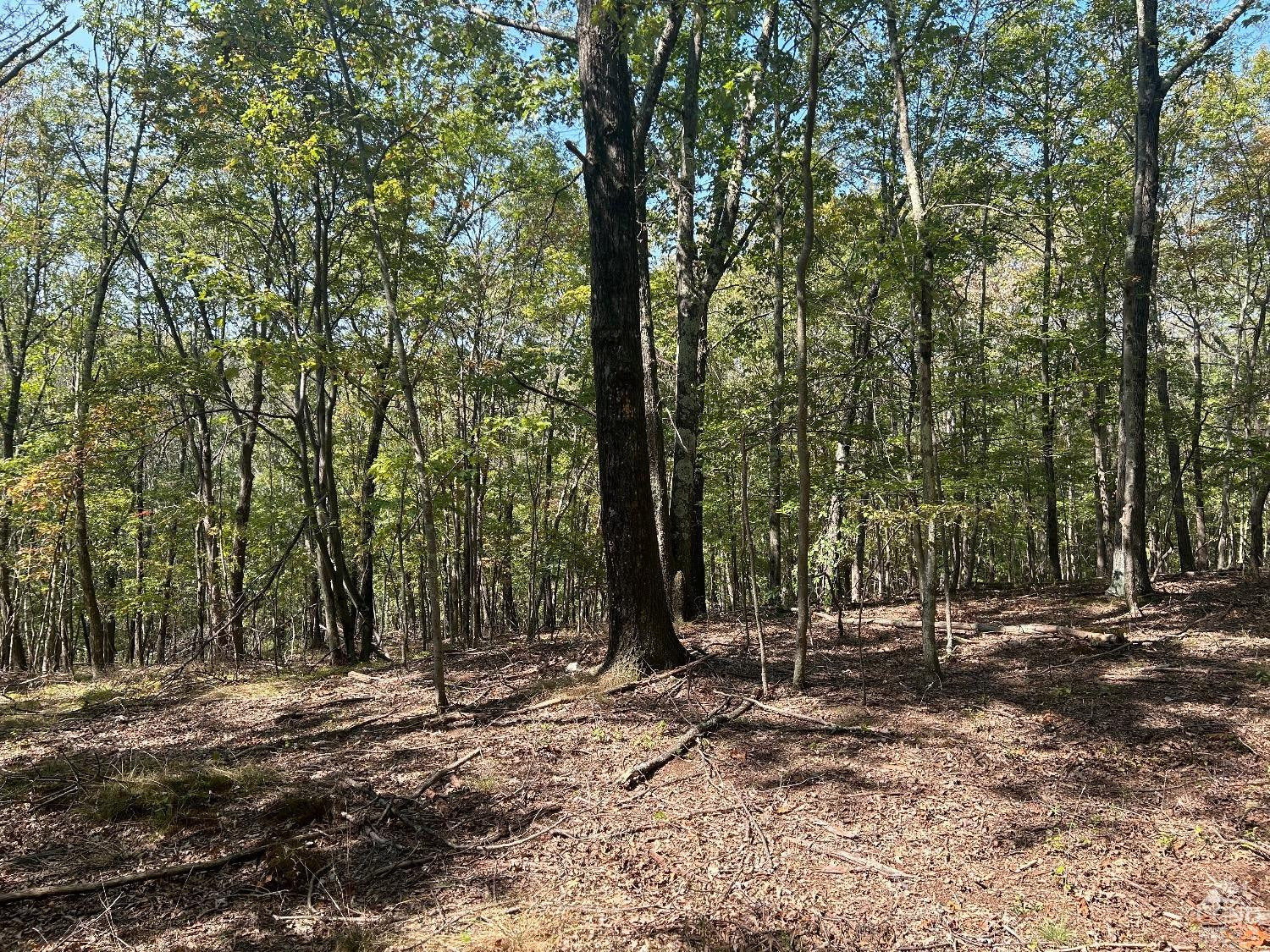 0 Westfall Road Ancram, NY 12502 - Photo 6 of 18 a view of outdoor space with lots of trees
