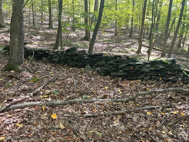 a view of backyard with green space