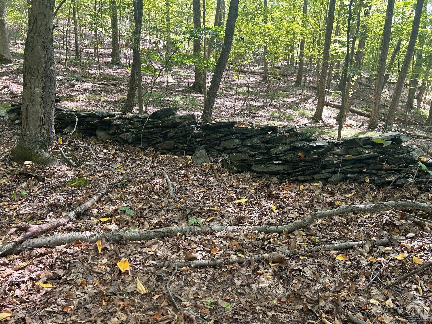 0 Westfall Road Ancram, NY 12502 - Photo 7 of 18 a view of a yard with plants and large trees