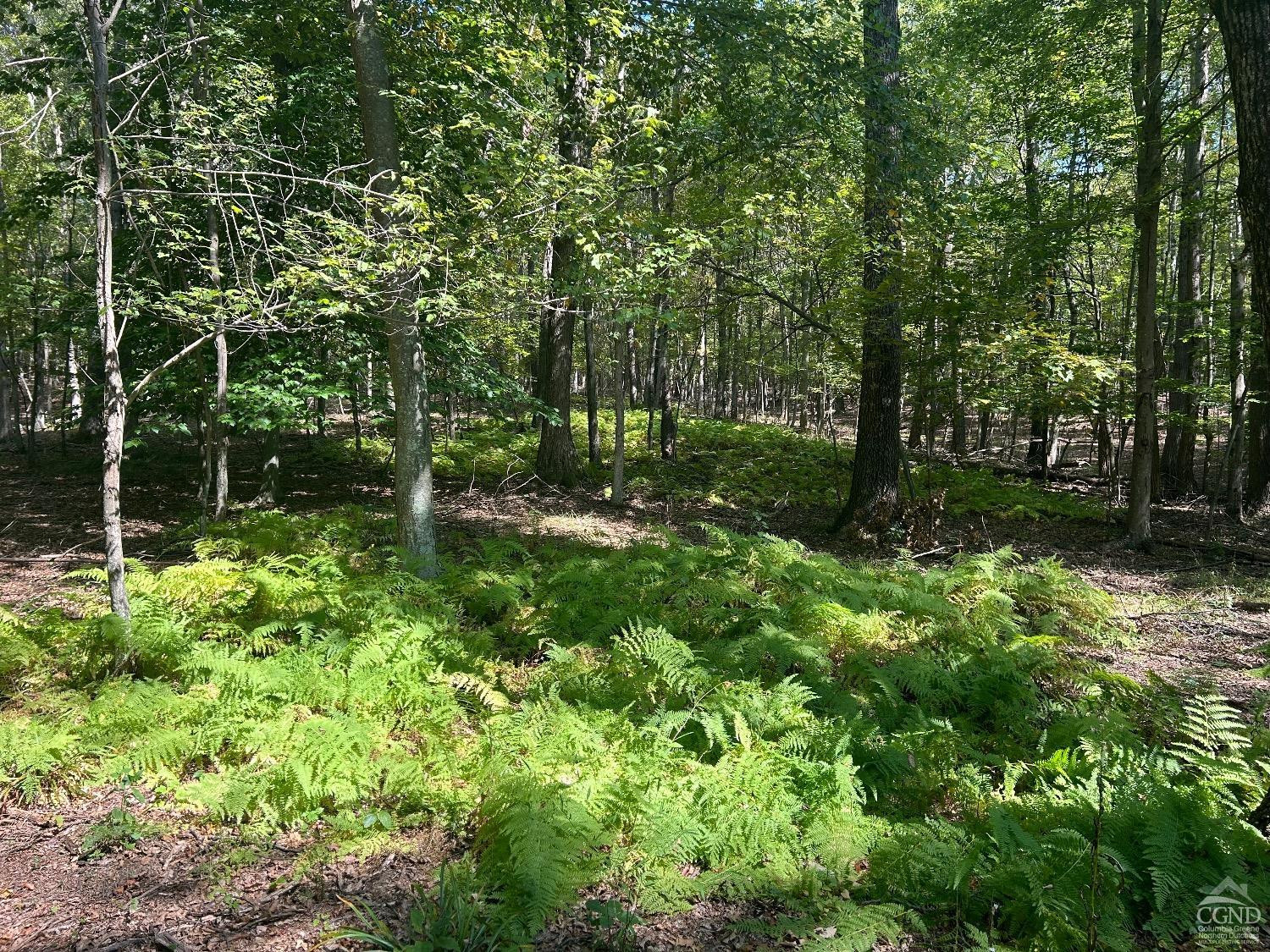 0 Westfall Road Ancram, NY 12502 - Photo 8 of 18 a view of backyard with green space