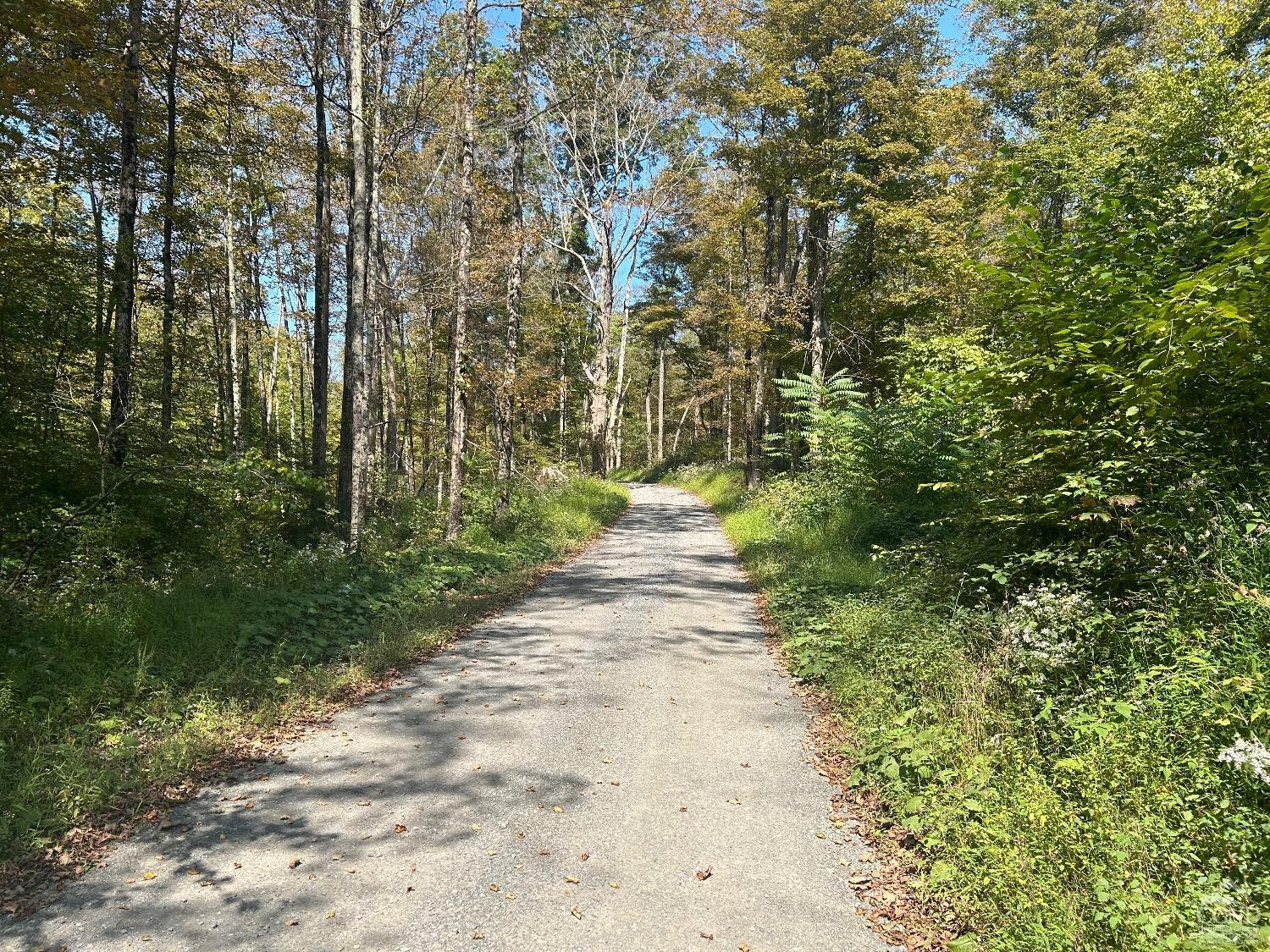 0 Westfall Road Ancram, NY 12502 - Photo 10 of 18 a pathway of a yard