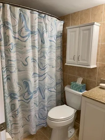 a white toilet sitting next to a shower curtain