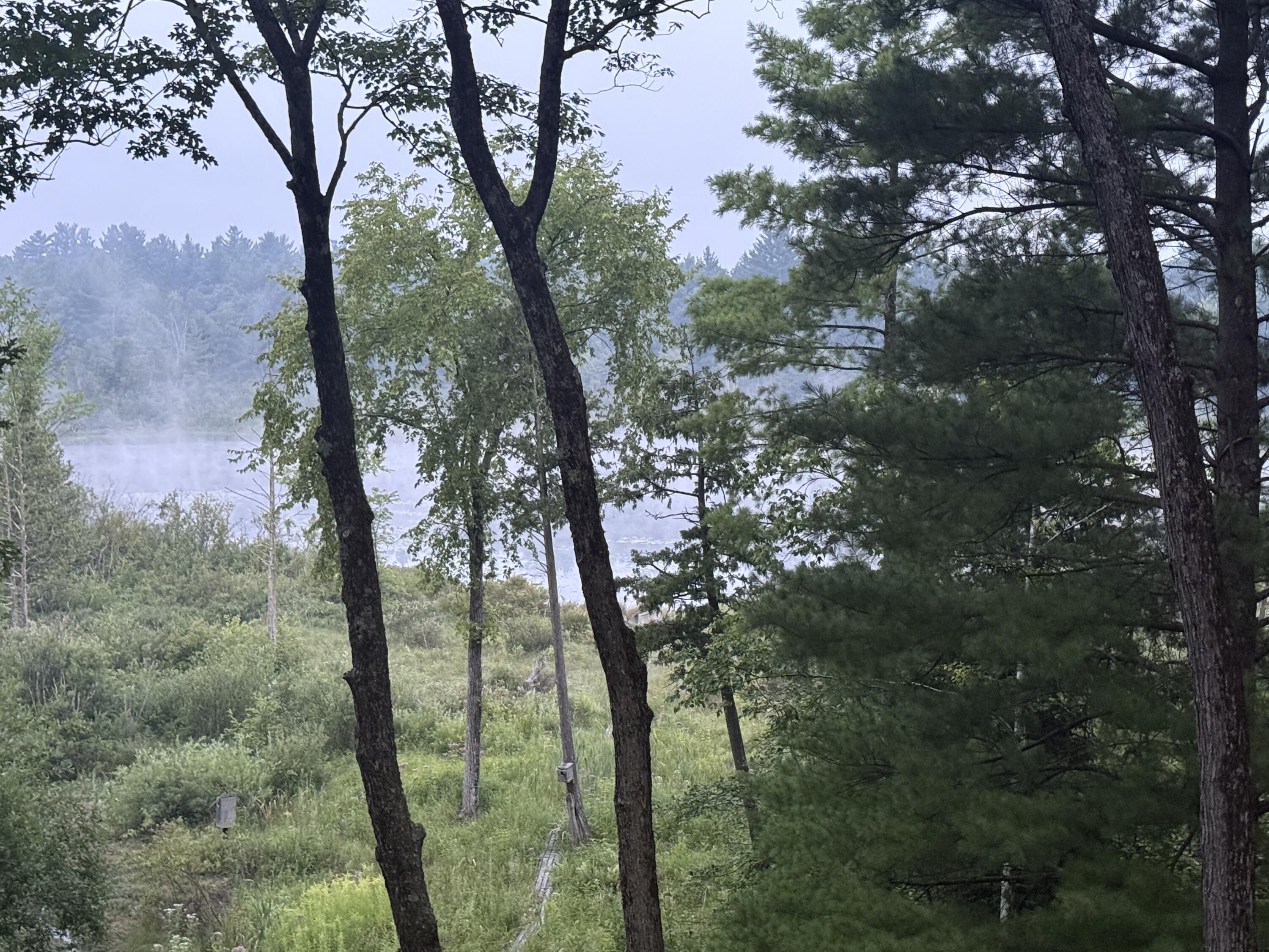 8733 South James Road Baldwin, MI 49304 - Photo 4 of 40 IMG_2963