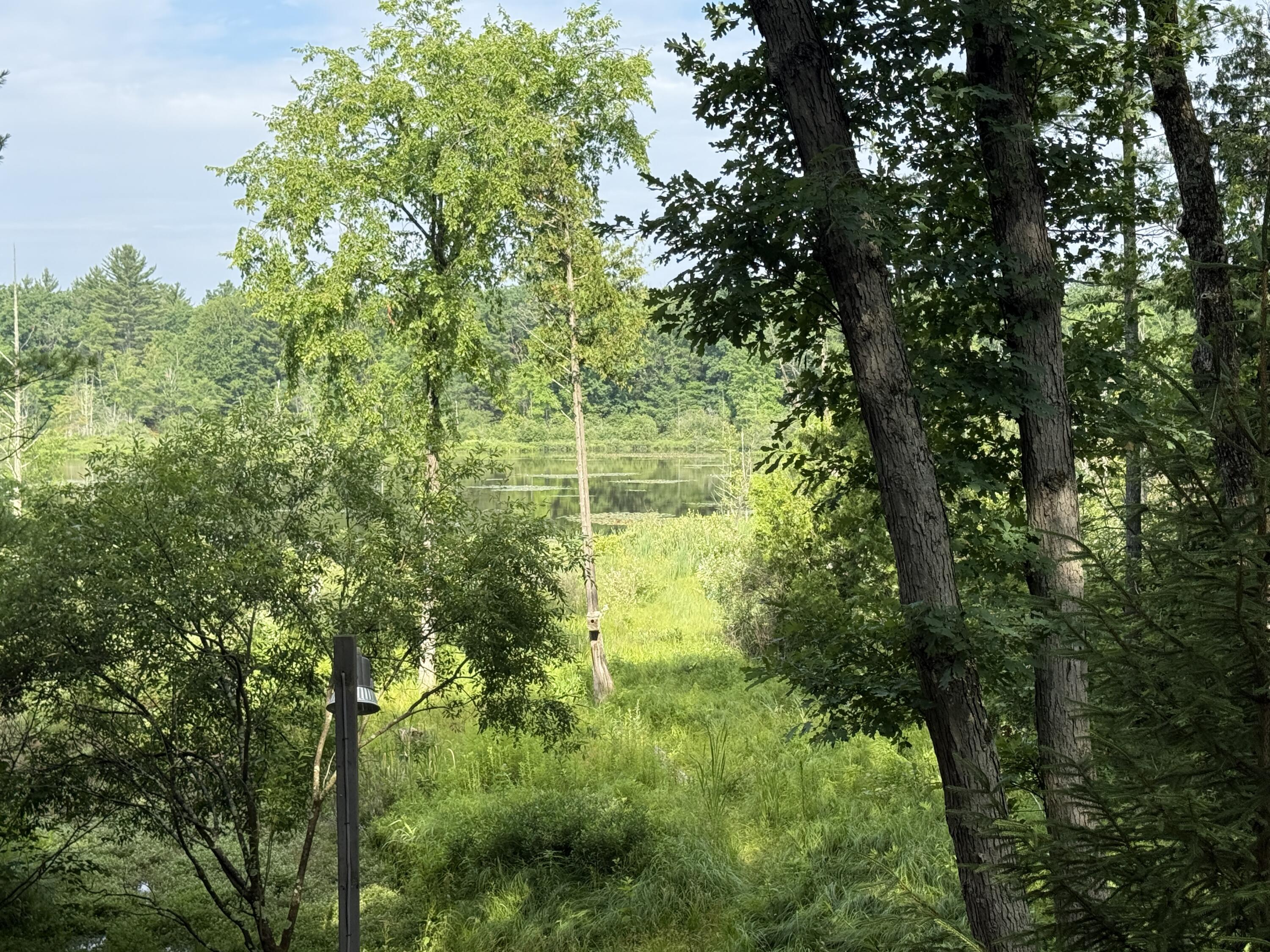 8733 South James Road Baldwin, MI 49304 - Photo 5 of 40 IMG_2473