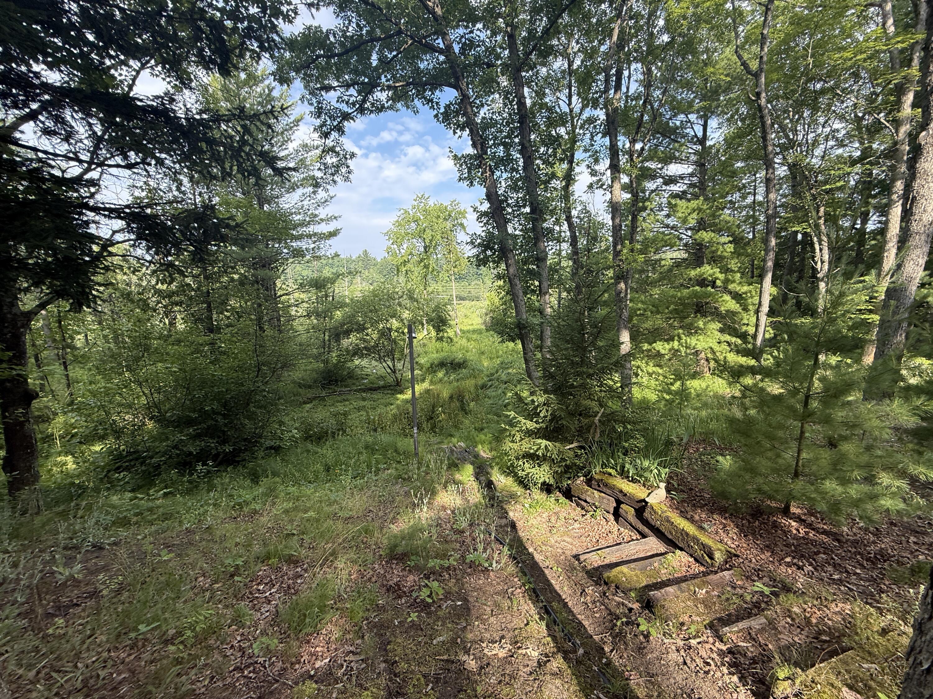 8733 South James Road Baldwin, MI 49304 - Photo 6 of 40 IMG_2472