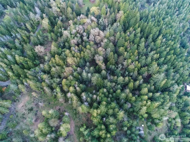 $15,000 | 4-5 Parcel 932100617 Blk 6, Brinnon, WA 98320