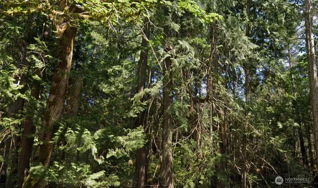 $15,000 | 4-5 Parcel 932100617 Blk 6, Brinnon, WA 98320