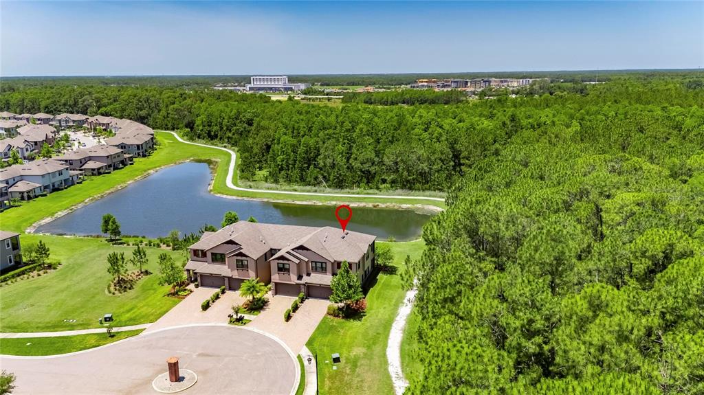 4899 Isola Court Wesley Chapel, FL 33543 - Photo 7 of 86