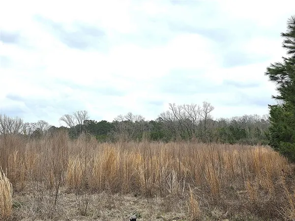a view of a lake with lots of tall trees
