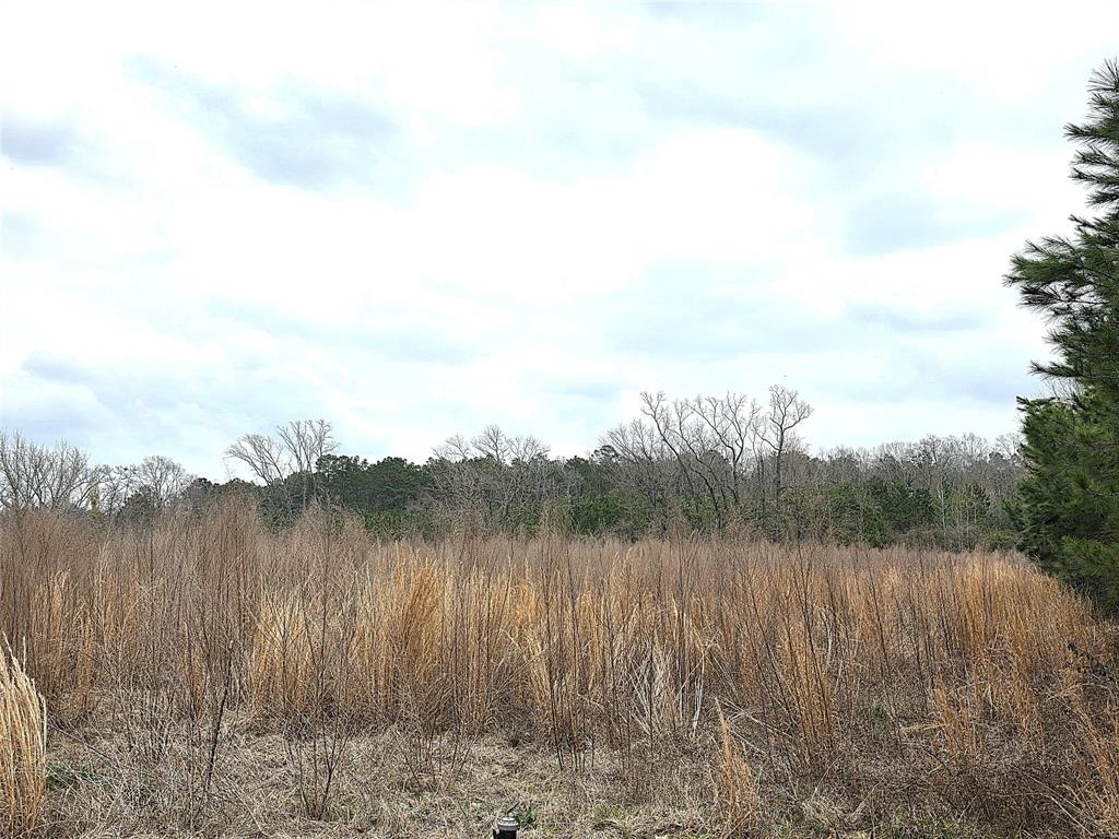 3049 Highway 507 Coushatta, LA 71019 - Photo 29 of 39 a view of a lake with lots of tall trees