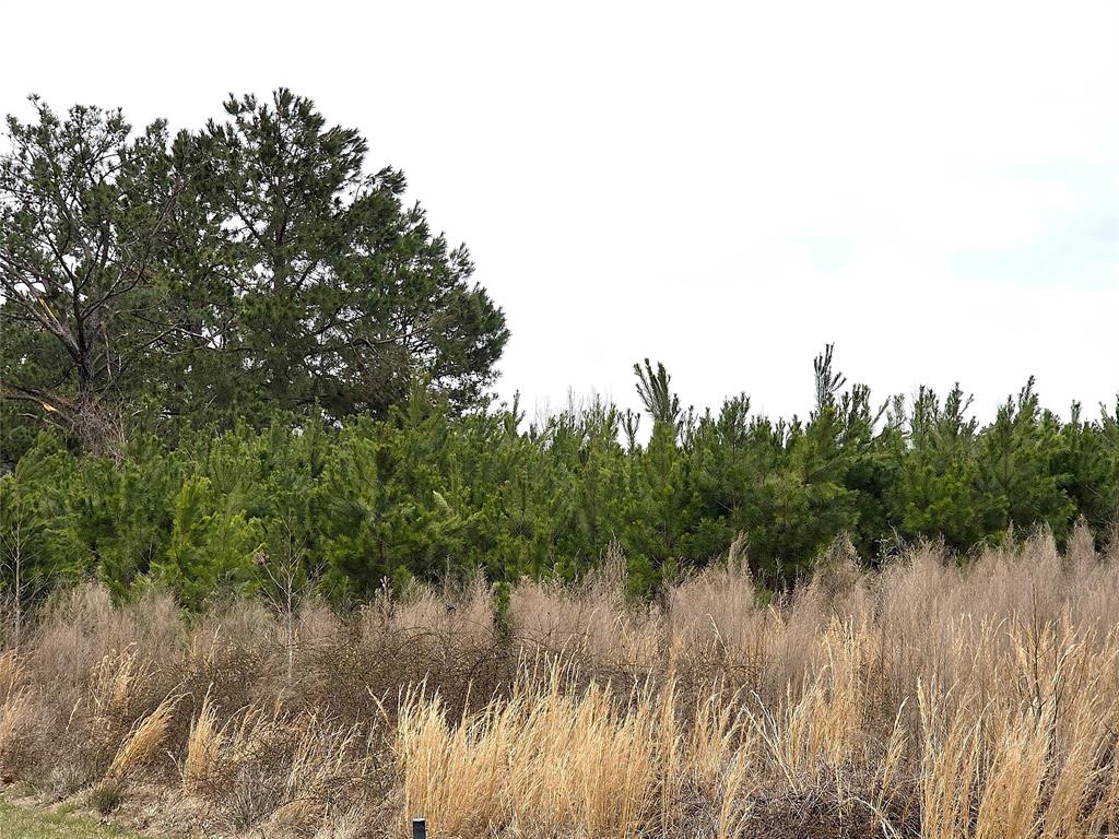 3049 Highway 507 Coushatta, LA 71019 - Photo 36 of 39 a view of a lake