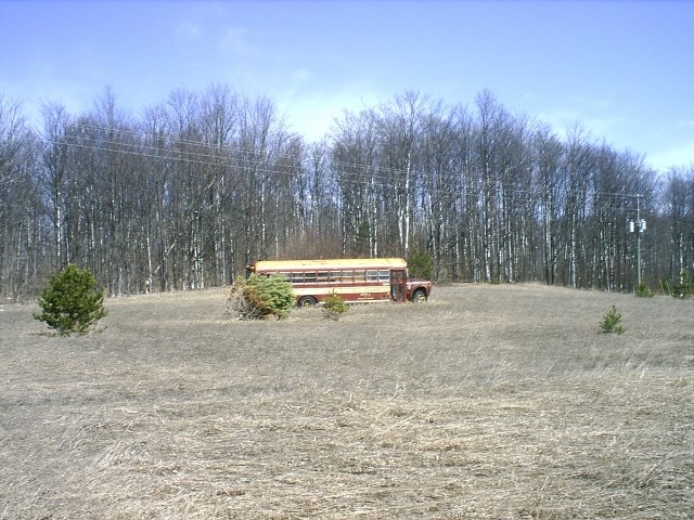 Off Off Doerr Road Mancelona, MI 49659 - Photo 9 of 9 1844344-8.JPG