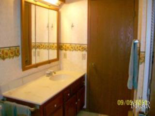 2028 Samaria Road Temperance, MI 48182 - Photo 10 of 19 Master Bath