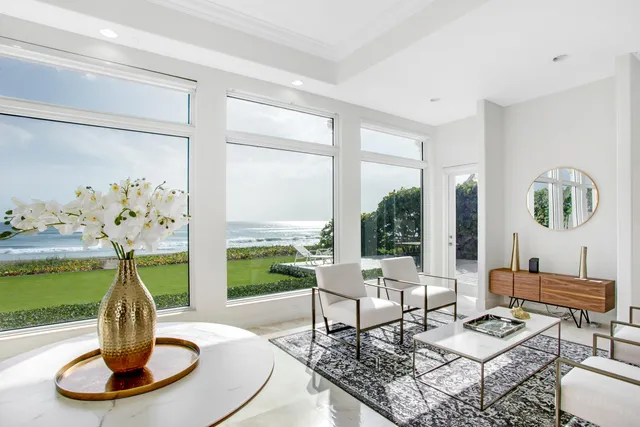 a living room with furniture flowerpot and a window