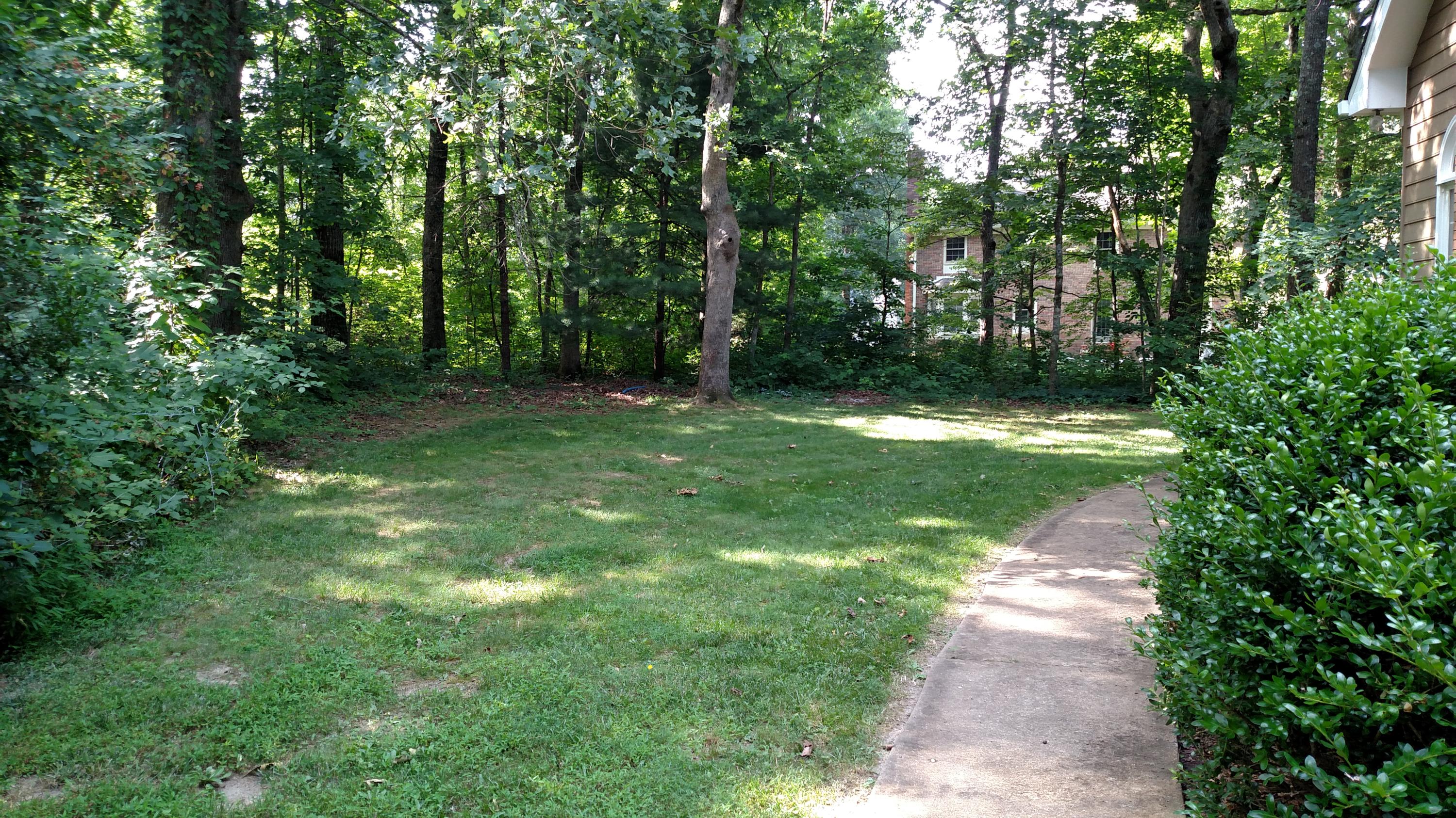 33 Old Riding Way Signal Mountain, TN 37377 - Photo 22 of 22 side yard
