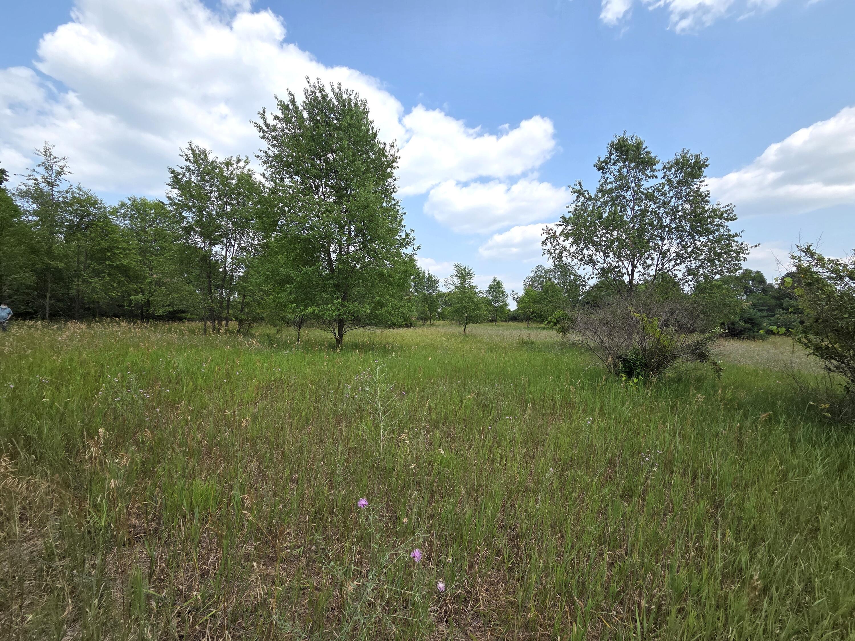 0 West Stanton Road Trufant, MI 49347 - Photo 7 of 11 9789a
