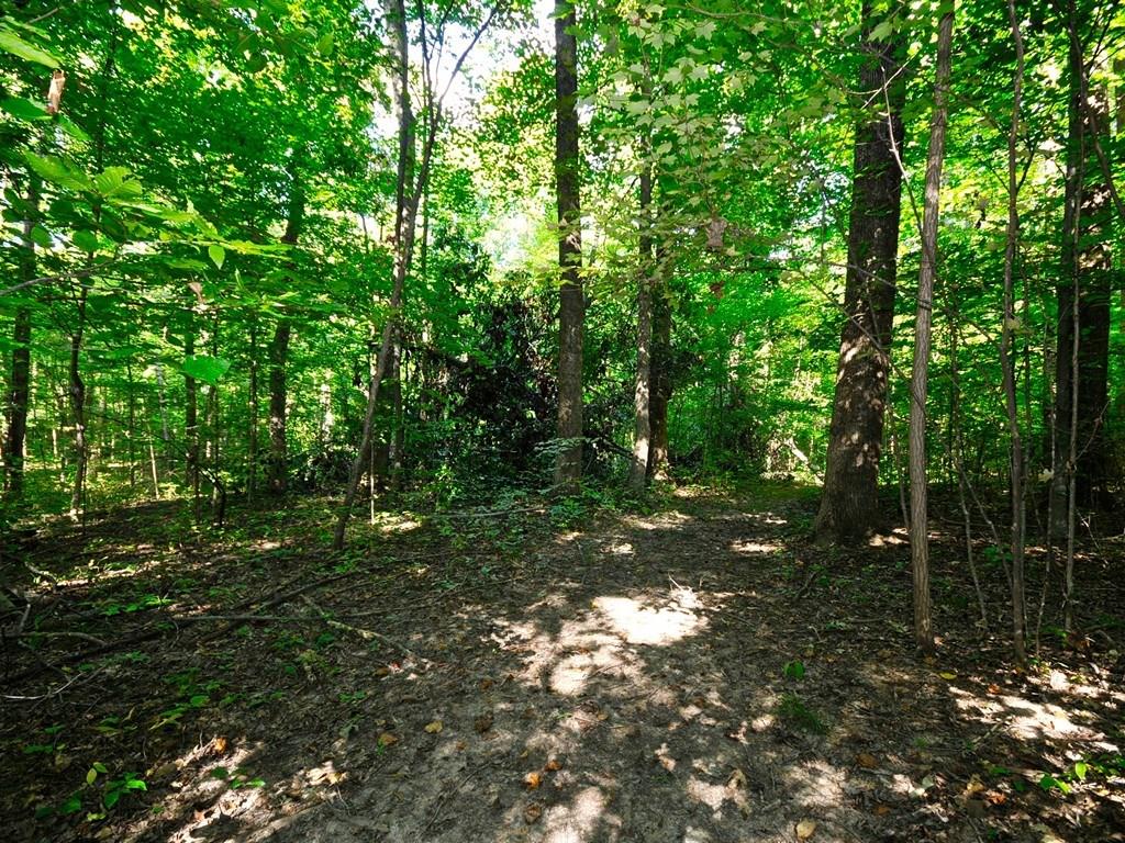 3535 South Conservation Club Road Morgantown, IN 46160 - Photo 22 of 24 Gallery Image 22