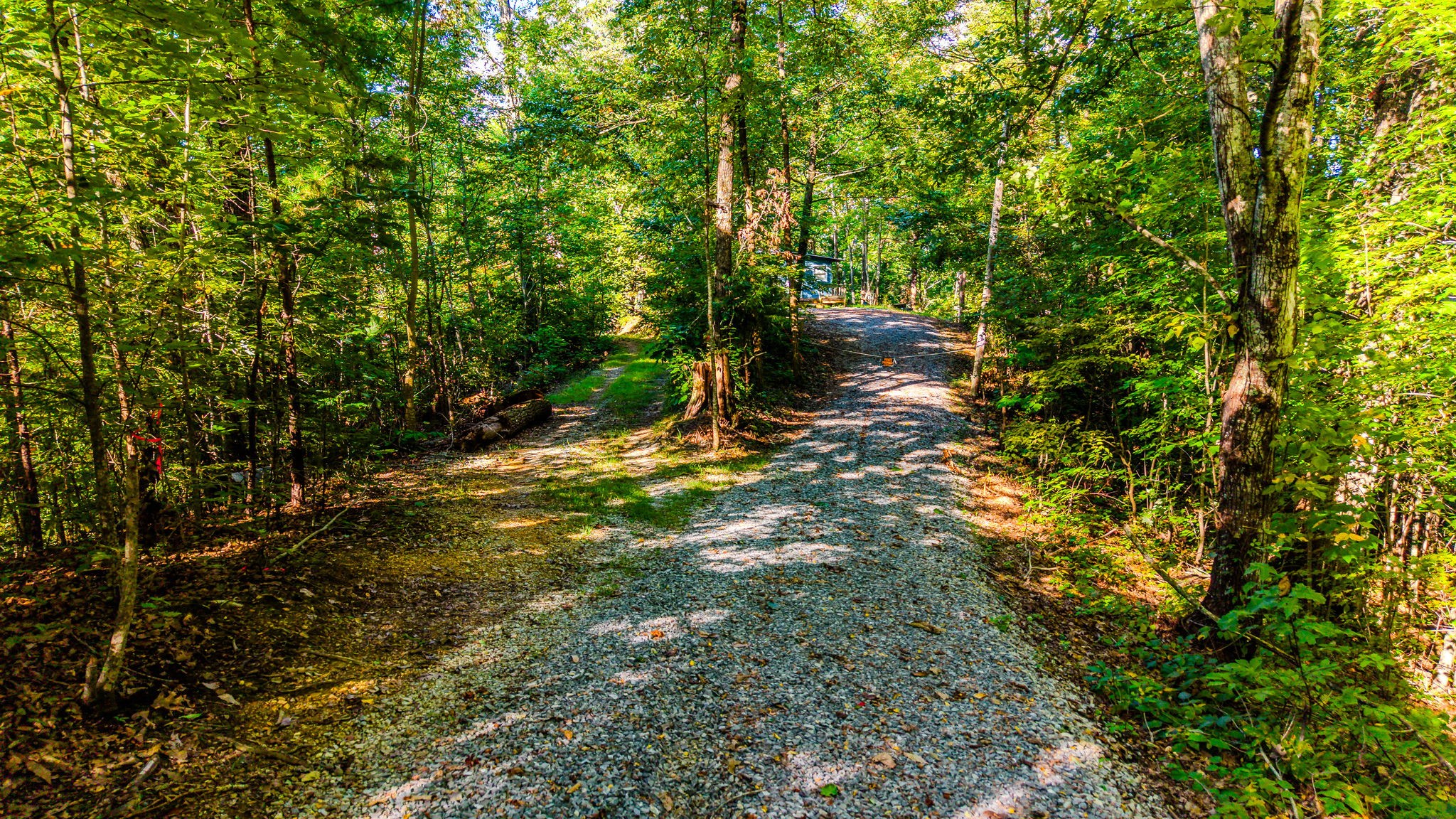 429 King Branch Road Sevierville, TN 37876 - Photo 5 of 13 Gallery Image 5