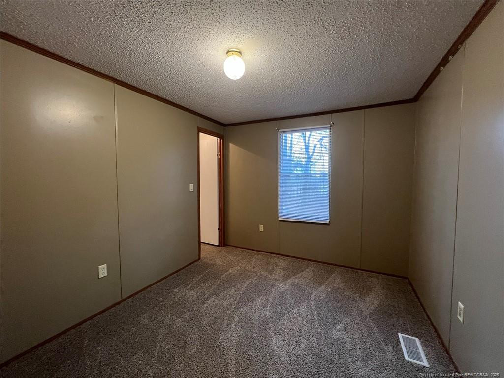 175 Travis Drive Cameron, NC 28326 - Photo 9 of 25 an empty room with windows