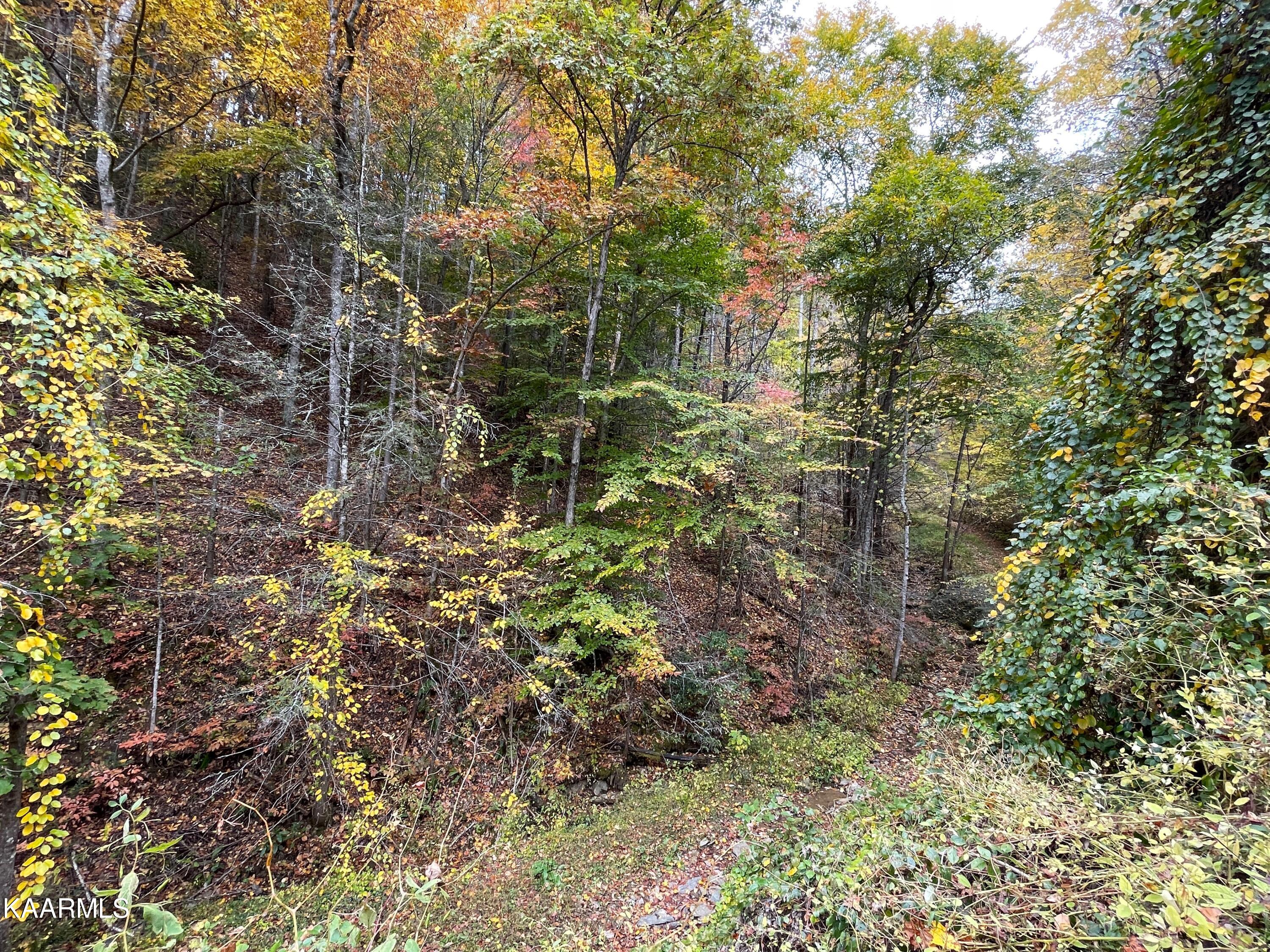 Grindstaff Road Hartford, TN 37753 - Photo 16 of 17 16
