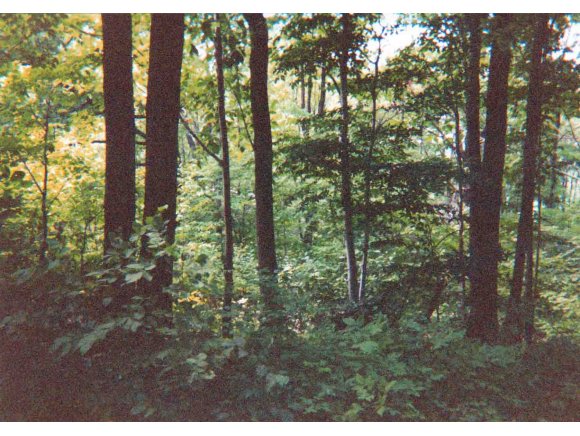 32 Castleman Road Vestal, NY 13850 - Photo 1 of 6