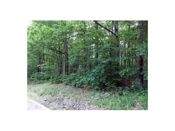 32 Castleman Road Vestal, NY 13850 - Photo 2 of 6