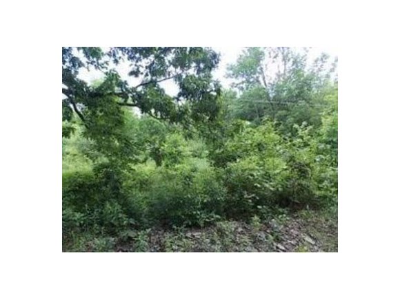 32 Castleman Road Vestal, NY 13850 - Photo 3 of 6