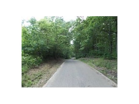 32 Castleman Road Vestal, NY 13850 - Photo 4 of 6