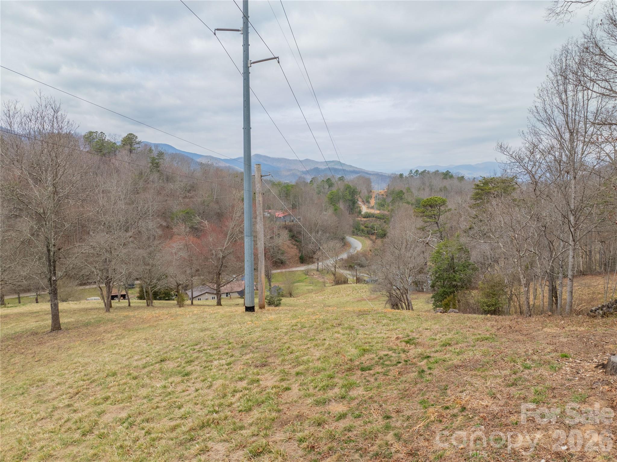 9999 Cornelious Ashe Road Whittier, NC 28789 - Photo 2 of 35