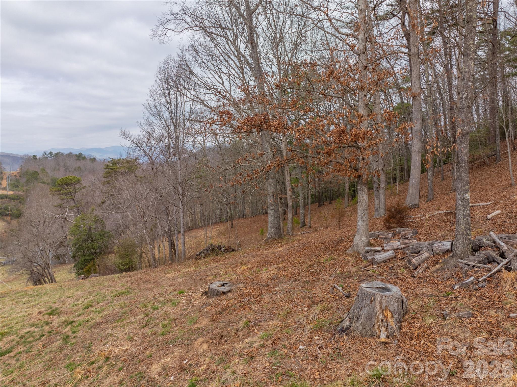 9999 Cornelious Ashe Road Whittier, NC 28789 - Photo 29 of 35