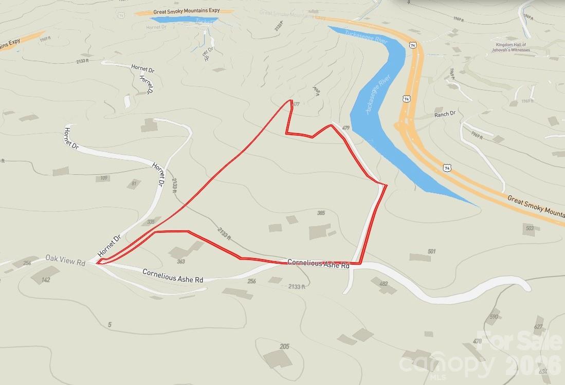 9999 Cornelious Ashe Road Whittier, NC 28789 - Photo 34 of 35