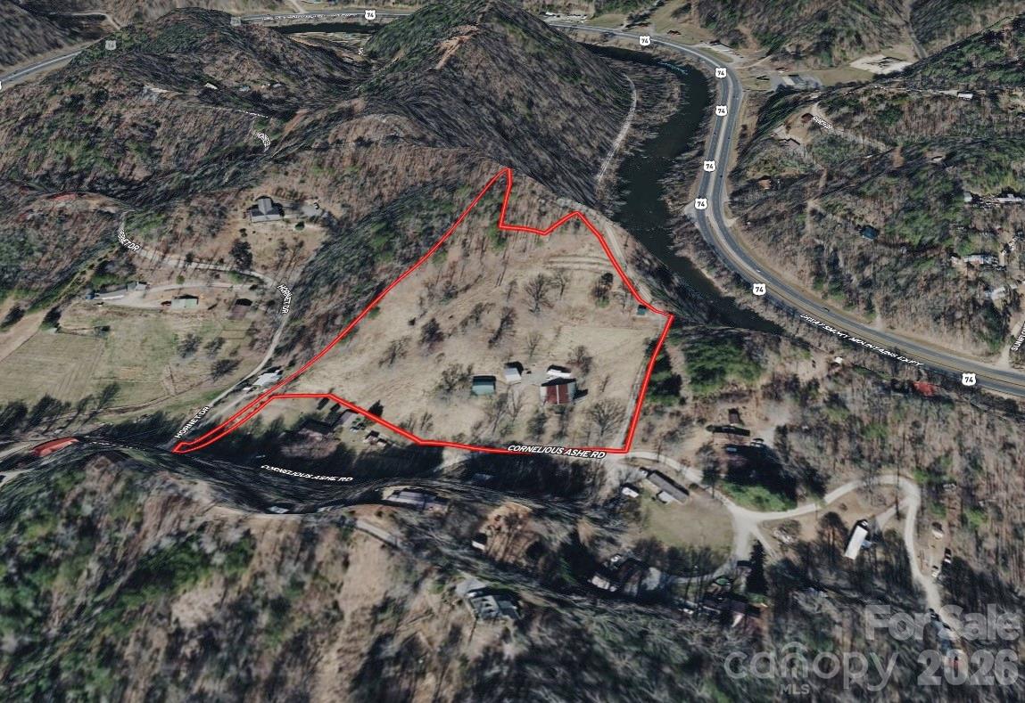 9999 Cornelious Ashe Road Whittier, NC 28789 - Photo 35 of 35