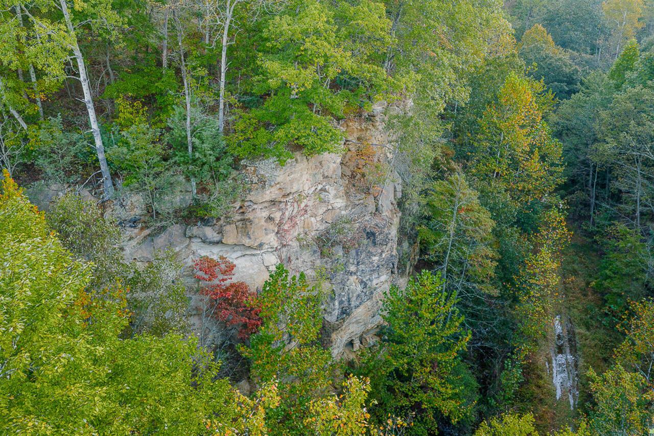 21995 Harrons Ridge Road Dexter City, OH 45727 - Photo 6 of 32 6