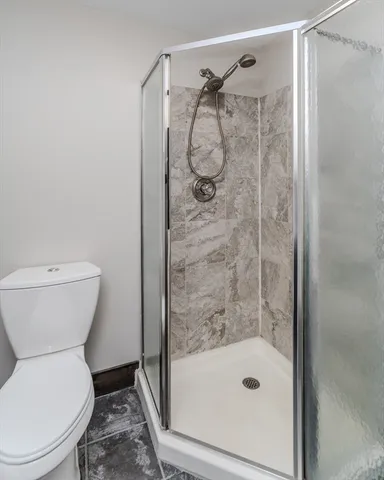 a bathroom with a shower and a toilet