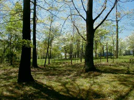 Lot 2 Mccombs Road Venetia, PA 15367 - Photo 2 of 8 Other.