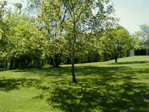 Lot 2 Mccombs Road Venetia, PA 15367 - Photo 7 of 8 Other.