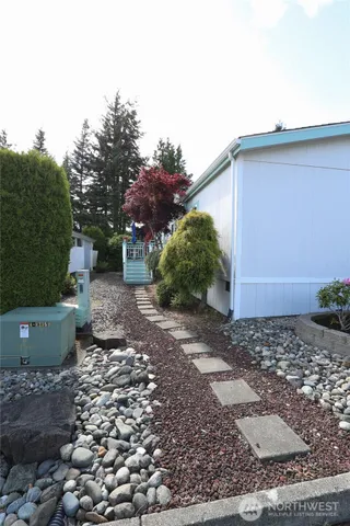 a view of a backyard with plants and a tree