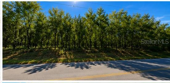 15130 Spokane Road Spring Hill, FL 34610 - Photo 6 of 10 Gallery Image 6