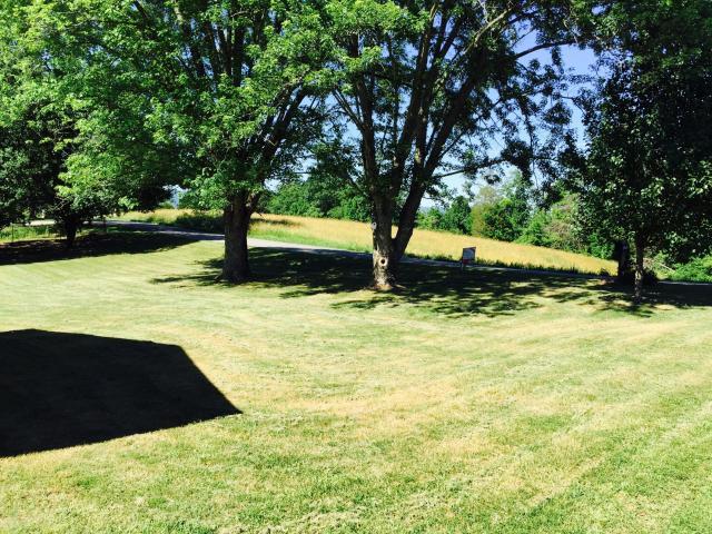 697 Coolidge Road La Follette, TN 37766 - Photo 3 of 20 Coolidge yard
