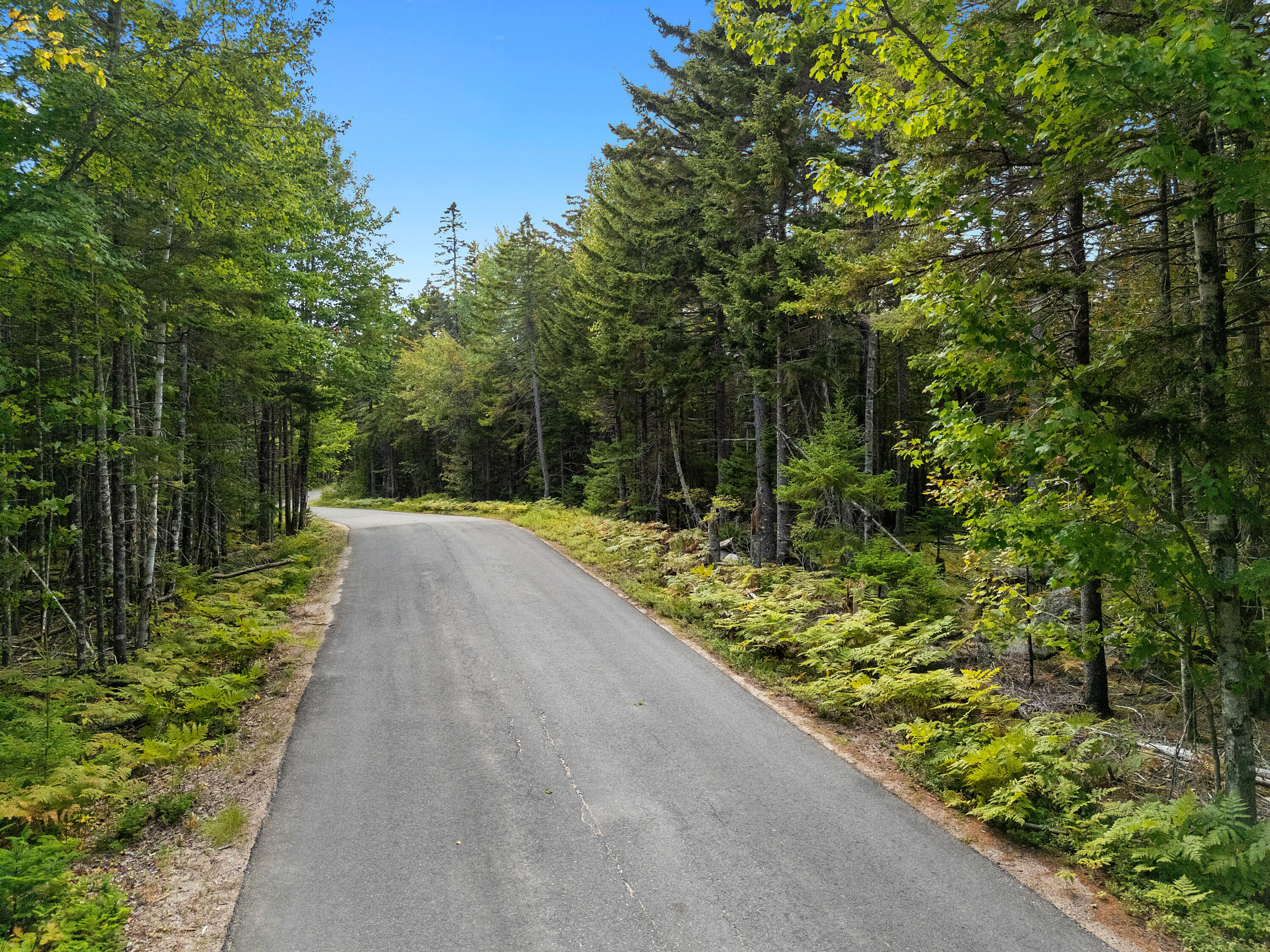 Lot 1 Peninsula Shore Road Corea, ME 04624 - Photo 8 of 23